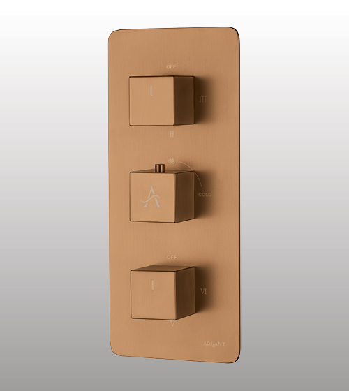 Brushed Gold High-Flow Thermostatic Diverter With Four Outlets (20mm Inlet) – Aquant India
